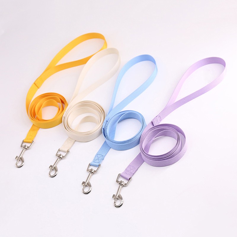 Leash(Matching Color)